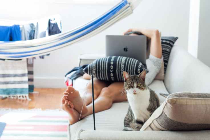 woman lying on sofa with cat in her foot